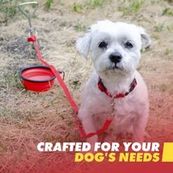 Emergency Zone - Small Dog Emergency Survival Kit - Bug Out, Emergency, Travel Kits, First Aid - Basic -Zoo Shop 51zgV4FYbjL