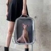 JOZZY Pet Travel Bag Large Space Cat Carrier Bags Breathable Dog Cat Backpack Travel Space Capsule Cage Pet Transport Bag Carrying For Cats Hand Bag (Color : Pink) 2 JOZZY Pet Travel Bag Large Space Cat Carrier Bags Breathable Dog Cat Backpack Travel Space Capsule Cage Pet Transport Bag Carrying For Cats Hand Bag (Color : Pink) -Zoo Shop 51zlUrHxI1L