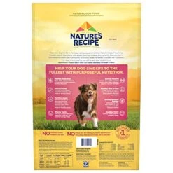 Nature's Recipe Grain Free Dry Dog Food, Salmon, Sweet Potato & Pumpkin Recipe, 12 Pound Bag, Easy To Digest -Zoo Shop 51zn5frviVL