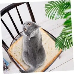TOYANDONA Cat Cushion Food Decor Soft Pillow Daybed Pillows Dog Couch Unique Plush Dog House Unique Throw Pillow Adorable Cat Cushion Cat Sleeping Cushion Indoor Sleeping Pad Pillow Cushion -Zoo Shop 51zqB1Tj7xL