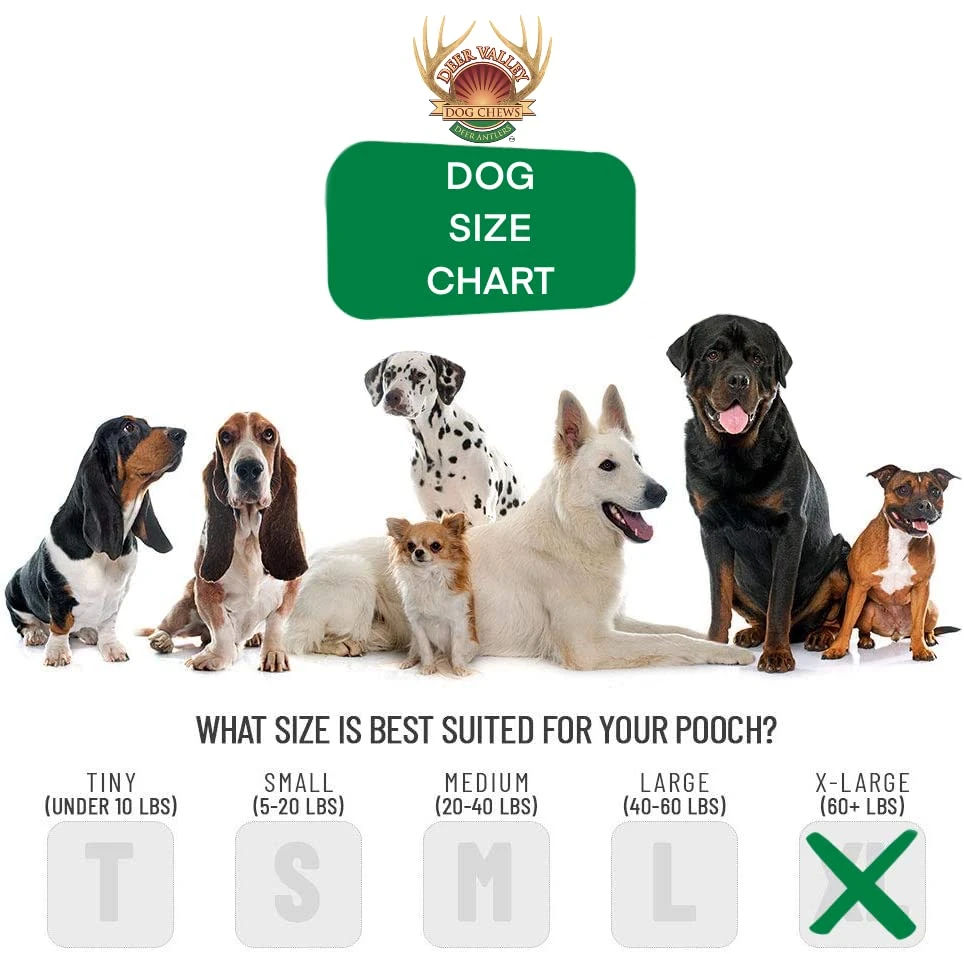 Deer Valley Dog Chews - XL & Robust 3 Pack (1lb) For Large Dogs (40-100 Lb) - All-Natural, Odor-Free Dental Treats For Healthy Teeth And Gums (Value Pack) 6 Deer Valley Dog Chews - XL & Robust 3 Pack (1lb) For Large Dogs (40-100 Lb) - All-Natural, Odor-Free Dental Treats For Healthy Teeth And Gums (Value Pack) - Image 4