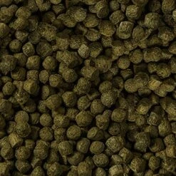 Sera 7022 KOI Color Medium 3.800 Ml Pet Food, One Size 9 Sera 7022 KOI Color Medium 3.800 Ml Pet Food, One Size -Zoo Shop 611v9lHkj8L