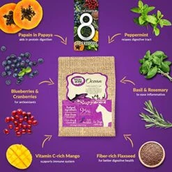 Wishbone Ocean King Salmon Grain-Free And Gluten-Free Dog Food, All Natural Dry Dog Food, Rich In Omega 3 Dog Food, High Protein Dry Dog Food - 4 Lb -Zoo Shop 613766GiFWL