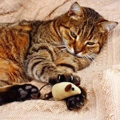 Nutro Perfect Portions Feed Clean Grain Free Pate Cat Food Salmon Lovers 2 Flavor 8 Can Sampler - (4) Each: Salmon Chicken, Salmon Tuna (2.6 Ounces) Plus Catnip Toy And Fun Facts Booklet Bundle -Zoo Shop 614z34jKAIL