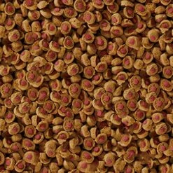 Sera Koi Professional Summer Pet Food, 4.86 Pound Bag -Zoo Shop 617dh3i4YXL