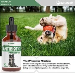 Natural Antibiotics For Dogs | Dog Antibiotics | Supports Dog Allergy Relief | Dog Itch Relief | Dog Allergy Support | Dog Multivitamin | Pet Antibiotics | Dog Antibiotic | 1 Pack: Bacon Flavor -Zoo Shop 619dy25FdFL