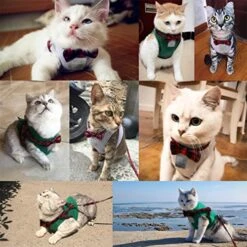 Kuntrona Cat Kitten Harness Nylon Puppy Small Dogs Vest Bowknot Cats Pet Harnesses And Leash Set Light Grey M -Zoo Shop 619yu39RxiL