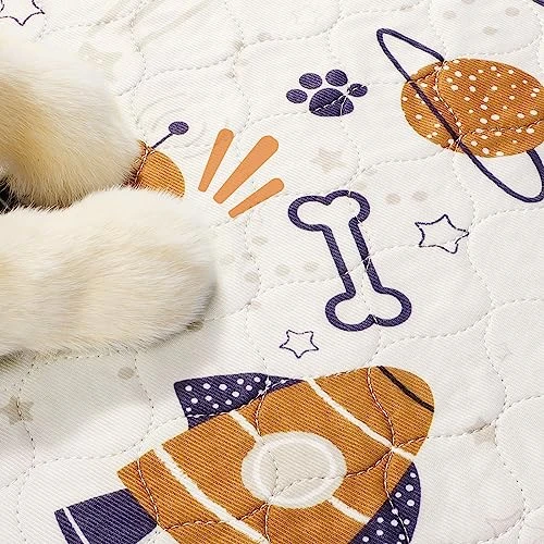 Siwa Mary Puppy Pads, 2-Pack Super Absorbent Pee Pads For Dogs, Non-Slip Washable Dog Pee Pads, Quick Dry Reusable Puppy Pads, Waterproof Dog Mat- Pet Supplies Ideal For Puppy Whelping & Training 5 Siwa Mary Puppy Pads, 2-Pack Super Absorbent Pee Pads For Dogs, Non-Slip Washable Dog Pee Pads, Quick Dry Reusable Puppy Pads, Waterproof Dog Mat- Pet Supplies Ideal For Puppy Whelping & Training - Image 3