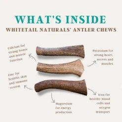 WhiteTail Naturals | Deer Antlers For Large Dogs (2 Pack- Jumbo XXL) All Natural Antler Dog Chew | Naturally Shed, Long Lasting Chew Bone, Made In USA -Zoo Shop 61CPrVJo6NL 2
