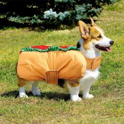 POPETPOP Hot Dog Costume- Funny Hot Dog Pet Cosplay Clothes Halloween Outfit Christmas Party Decorations For Puppies And Kitten( Size M) 13 POPETPOP Hot Dog Costume- Funny Hot Dog Pet Cosplay Clothes Halloween Outfit Christmas Party Decorations For Puppies And Kitten( Size M) -Zoo Shop 61DnwG9SZWL
