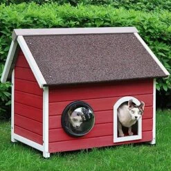 HiCaptain Weatherproof Outdoor Cat House, Wooden Feral Cat House For Outside, Unique Small Pet Shelter With Escape Door, Clear Window And Removable Attic-Grey -Zoo Shop 61EgZwjL8EL. AC