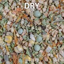 Healthy Herp Veggie Mix Instant Meal 7.5-Ounce (212.63 Grams) Jar 14 Healthy Herp Veggie Mix Instant Meal 7.5-Ounce (212.63 Grams) Jar -Zoo Shop 61FkgsWlD7S