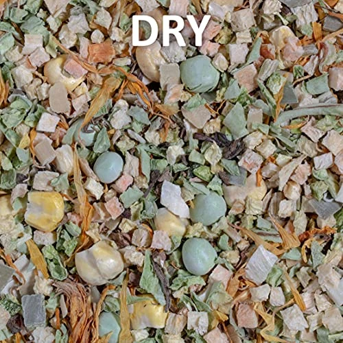 Healthy Herp Veggie Mix Instant Meal 7.5-Ounce (212.63 Grams) Jar 6 Healthy Herp Veggie Mix Instant Meal 7.5-Ounce (212.63 Grams) Jar - Image 4