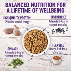 Wellness Complete Health Large Breed Dry Dog Food With Grains, Natural Ingredients, Made In USA With Real Meat (Adult, Chicken & Rice, 15-Pound Bag) -Zoo Shop 61GSuPg2waL