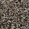 DBDPet Premium Black Soldier Fly Larvae (BSFL) 1000ct Bulk Medium Size - Bearded Dragon, Leopard Gecko, Chameleon, Lizard Food - Composting - Bait 1 DBDPet Premium Black Soldier Fly Larvae (BSFL) 1000ct Bulk Medium Size - Bearded Dragon, Leopard Gecko, Chameleon, Lizard Food - Composting - Bait -Zoo Shop 61GXQ4myHoL 1