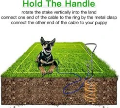 16.5ft (5m) Dog Tie Out Cable With 18 Inch Spiral Ground Stake Spike Out For Outdoor Yard And Camping Small To Medium Dogs -Zoo Shop 61HUGapj0oL