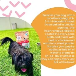 "I And Love And You" Baked And Saucy Dry Dog Food With Gravy Coating, Chicken And Sweet Potato Recipe, Grain Free, Coated In Bone Broth, Prebiotics And Probiotics, Real Meat, No Fillers, 4 Lb Bag -Zoo Shop 61IkUqCqvlL