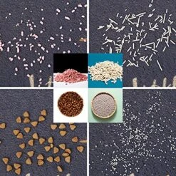 PetEiZi Cat Litter Mat Trap, Pet Food Catching Placemat, Super Cute Easy To Clean 24"×16" Large Durable For Cats And Dogs - Everyday Is Catyrday -Zoo Shop 61Ke1gYl2NS