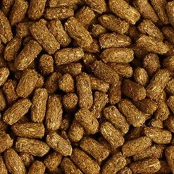 Mazuri | Tortoise LS Diet For African Spurred/Sulcata, Desert, Egyptian, Galapagos, Gopher, Greek, Leopard, Pancake, Radiated Or Yellow-Footed Tortoise, | 12 Ounce (12 OZ) Bag -Zoo Shop 61KmBisz7FL