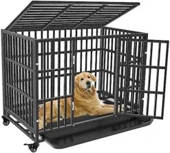 Heavy Duty Dog Crate - For Small Dogs Indestructible Pet Cage Indoor/Outdoor Strong Metal Kennel With Lockable Wheels Double Doors And Removable Trays(24in) -Zoo Shop 61MDSEl0pIL. AC