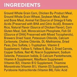 Pedigree Puppy Growth & Protection Dry Dog Food Chicken & Vegetable Flavor, 14 Lb. Bag -Zoo Shop 61MwJNBb46L