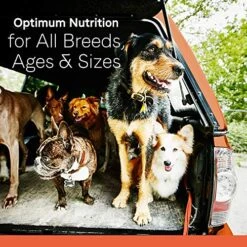 Canidae All Life Stages Premium Dry Dog Food For All Breeds, All Ages, Chicken Meal & Rice Recipe, 40 Lbs -Zoo Shop 61OBcCYxDRL