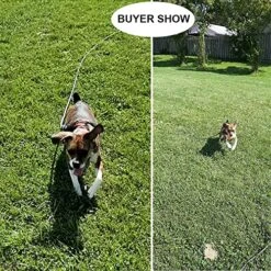 YUCFOREN Check Cord/Tie Out Long Rope Leash For Dog Training 15FT 20FT 26FT 40FT Obedience Recall Training Agility Lead For Large Medium Small Dogs, Great For Training, Camping, Playing, Backyard -Zoo Shop 61PGVFMg0SL