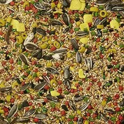 Kaytee Forti-Diet Egg-Cite Pet Bird Food For Cockatiels, 5 Pound -Zoo Shop 61PVrJJjnHL