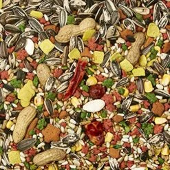 Kaytee Forti-Diet Pro Health Feather Health Parrot Food 5lb 11 Kaytee Forti-Diet Pro Health Feather Health Parrot Food 5lb -Zoo Shop 61QFoBp4XDL