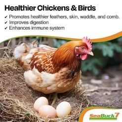 SeaBuck 7 Chicken & Bird Supplement With Sea Buckthorn To Improve Egg Quality (1-Month Supply For 20 Chickens) – Earlier Laying, Egg Production Booster & Higher Quality Eggs -Zoo Shop 61RAXRjpasL