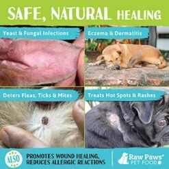 Raw Paws Organic Coconut Oil For Dogs & Cats, 8-oz - Treatment For Itchy Skin, Dry Nose, Paws, Elbows, Hot Spot Lotion For Dogs, Natural Hairball Remedy For Dogs & Cats -Zoo Shop 61SSrFEcxVL
