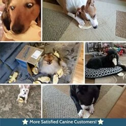 Pawstruck Jumbo Cow Ears For Dog Pet Food (10 Pack) Made In USA & Natural, Healthy Bulk Dental Dog Treats, Single Ingredient Chew, Fresh,Tasty Beef, Low Calorie, Digestible, & Safe, 10.4 Ounces -Zoo Shop 61Vh4I9cxLL