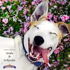 Kingdom Pets Duck Breast Jerky, Premium Treats For Dogs, 40 Oz. Bag -Zoo Shop 61YqxMDQHIL