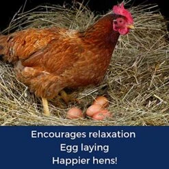 Pampered Chicken Mama Backyard Chicken Nesting Herbs For Great Eggs 10 Oz - All-Natural Backyard Chicken Feed Supplies - Hen Treats For The Best Eggs Ever - High Calcium Supplement For Chickens -Zoo Shop 61ZhY7UWZjL