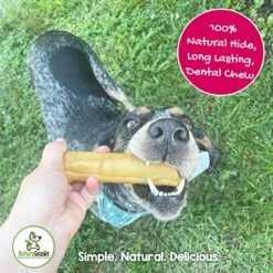 Nature Gnaws Pork Skin Chews For Dogs - Premium Natural Tasty Jerky Treats - Long Lasting Dog Chew Bones - Rawhide Free 6 Count (Pack Of 1) -Zoo Shop 61bLUASZlfL