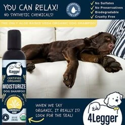 4Legger All Natural Hemp Oil Shampoo For Dogs - USDA Certified Organic Dog Shampoo With Lemongrass Essential Oil - Moisturizing Dry Itchy Skin Dog Shampoo - Concentrated - USA - 8 Fl Oz 7 4Legger All Natural Hemp Oil Shampoo For Dogs - USDA Certified Organic Dog Shampoo With Lemongrass Essential Oil - Moisturizing Dry Itchy Skin Dog Shampoo - Concentrated - USA - 8 Fl Oz -Zoo Shop 61bOpq0CegL
