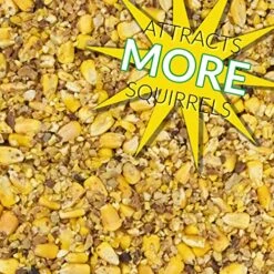 C&S Squirrel Snak, 6 Pack -Zoo Shop 61dCCliU8gL