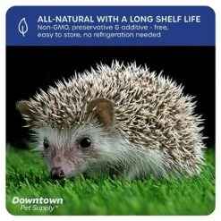 Downtown Pet Supply 2 LB Dried Mealworms For Wild Birds, Poultry, Reptiles, And Small Mammals Rich In Vitamin B12, B5, Protein, Fiber, Omega 3 Fatty Acids - Great As Mealworms For Chicken -Zoo Shop 61dmCfEkesL