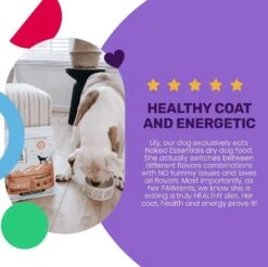 "I And Love And You" Trial Size Naked Essentials Chicken & Duck Grain Free Dry Dog Food, 4 LB -Zoo Shop 61f4xGCqAmL