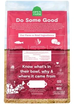 Open Farm Ancient Grains Dry Dog Food, Humanely Raised Meat Recipe With Wholesome Grains And No Artificial Flavors Or Preservatives (Wild Salmon Ancient Grain, 11 Pound (Pack Of 1)) -Zoo Shop 61gN6apLrVL