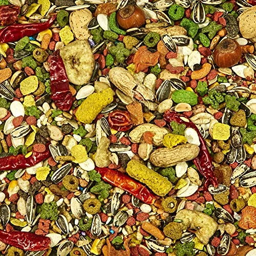 Kaytee Fiesta Parrot Food 25 Pound Bag 7 Kaytee Fiesta Parrot Food 25 Pound Bag - Image 5