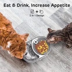 IPettie Twins Cat Water Fountain Stainless Steel With Two Spouts, 101oz/3.0L, Cat Food And Water Dispenser Set, Dog Water Fountain And Food Bowl, Cat Fountain With Ultra Quiet Pump, 5-Stage Filtration -Zoo Shop 61iCV5AoApL