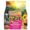 F.M. Brown's Tropical Carnival Gourmet Bird Food For Parrots, African Greys, And Conures Under 13", Probiotics For Digestive Health, Vitamin-Nutrient Fortified Daily Diet - 5 Lb. -Zoo Shop 61kPCt1yTnL