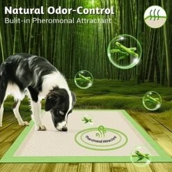 MIZOK Bamboo Dog Pads Odor Eliminating 36x36in XXXL Dog Training Pads, 11 Cups Super Absorbent Leak-Proof Dog Pee Pads With Adhesive Tabs, Disposable Green Color (30 Counts) -Zoo Shop 61kTUhUAkVL
