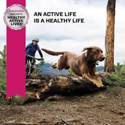 Eukanuba Senior Large Breed Dry Dog Food, 30 Lb 9 Eukanuba Senior Large Breed Dry Dog Food, 30 Lb -Zoo Shop 61kXNp5rDZL