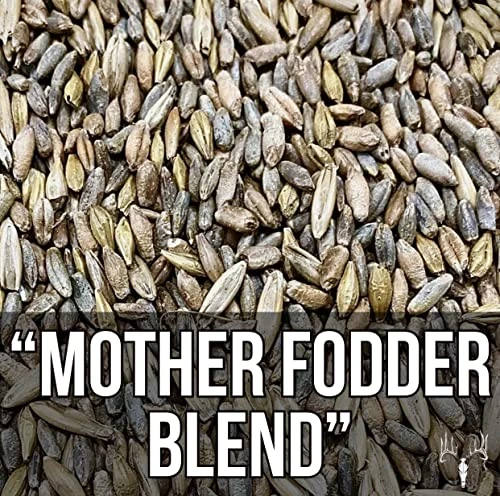 Crooked Bend Mother Fodder Blend, 8LB EcoPack, Grain Seeds For Bird Food & Growing Fresh Green Grass Sprouts To Feed Pet Rabbits, Cows, Horse, Chicken, Goat, Sheep, Quail, Dog, Cat, Duck & Tortoise 4 Crooked Bend Mother Fodder Blend, 8LB EcoPack, Grain Seeds For Bird Food & Growing Fresh Green Grass Sprouts To Feed Pet Rabbits, Cows, Horse, Chicken, Goat, Sheep, Quail, Dog, Cat, Duck & Tortoise - Image 2
