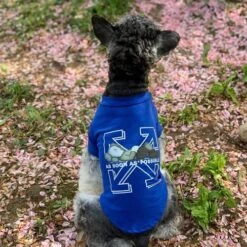 Schnauzer Brand Dog Clothes Thin Pet Cat T-Shirt In Spring And Summer, Bomei Bixiong Small Dog Sunscreen Vest (Blue T-Shirt (kaw),L) -Zoo Shop 61oK0P7dKJL