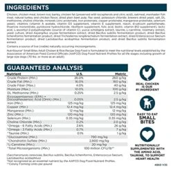 NutriSource Adult Chicken & Rice Small Bites Dog Food 5lb -Zoo Shop 61oRdtqkmmL