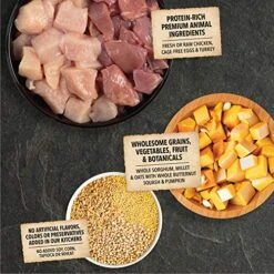 ACANA Wholesome Grains Dry Dog Food, Puppy Recipe, Real Chicken, Eggs And Turkey Dog Food Recipe, 11.5lb