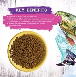 Inception® Dry Cat Food Fish Recipe – Complete And Balanced Cat Food – Meat First Legume Free Dry Cat Food – 13.5 Lb. Bag 17 Inception® Dry Cat Food Fish Recipe – Complete And Balanced Cat Food – Meat First Legume Free Dry Cat Food – 13.5 Lb. Bag -Zoo Shop 61rYOQJ4c1L